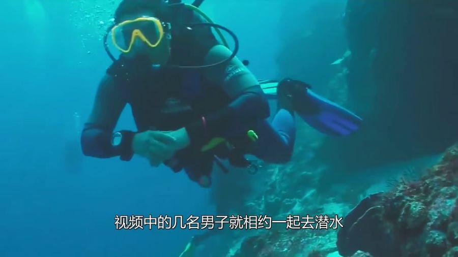 妙鸭相机app下载官网